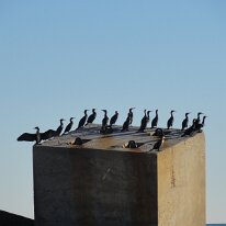 DSC00092