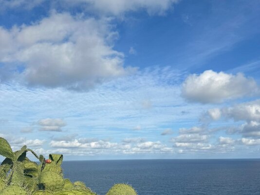 South coarst South coast