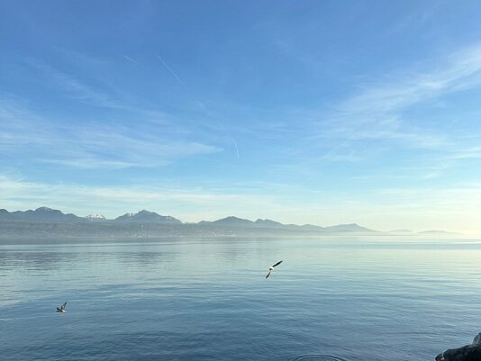 Lausanne - BDFil
