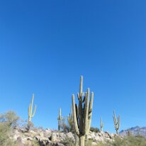 DSC06866