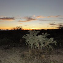 DSC07156